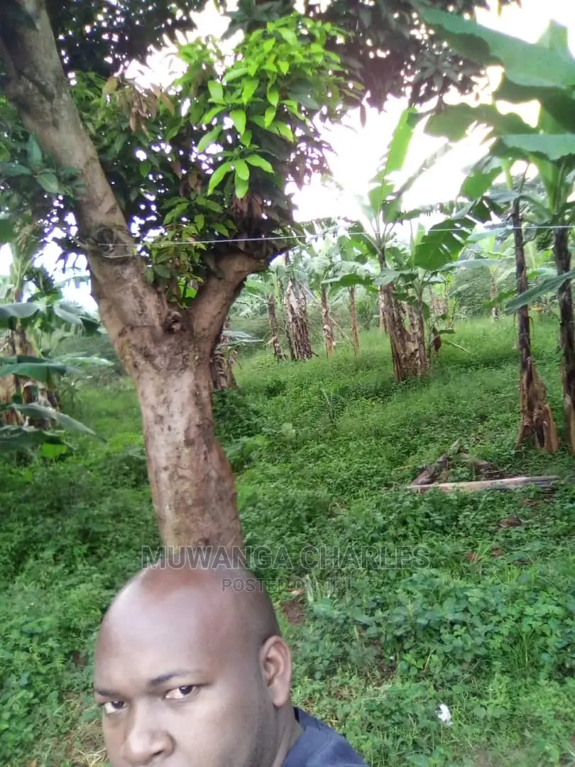 Plot for Sale at Wakiso