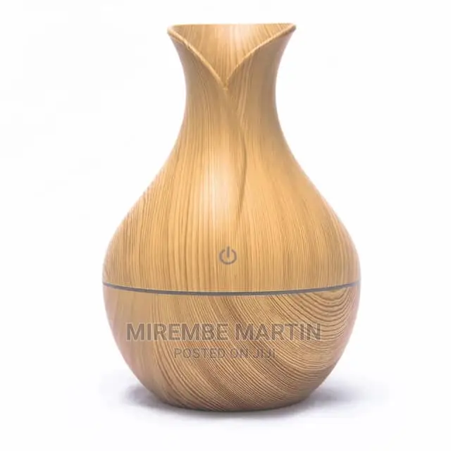 Air Humidifier in Central Division Home Appliances, Mirembe Martin