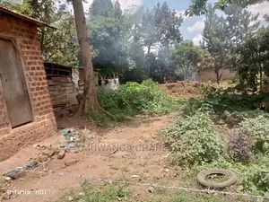 100by100ft Plot of Land for Sale at Kitetika