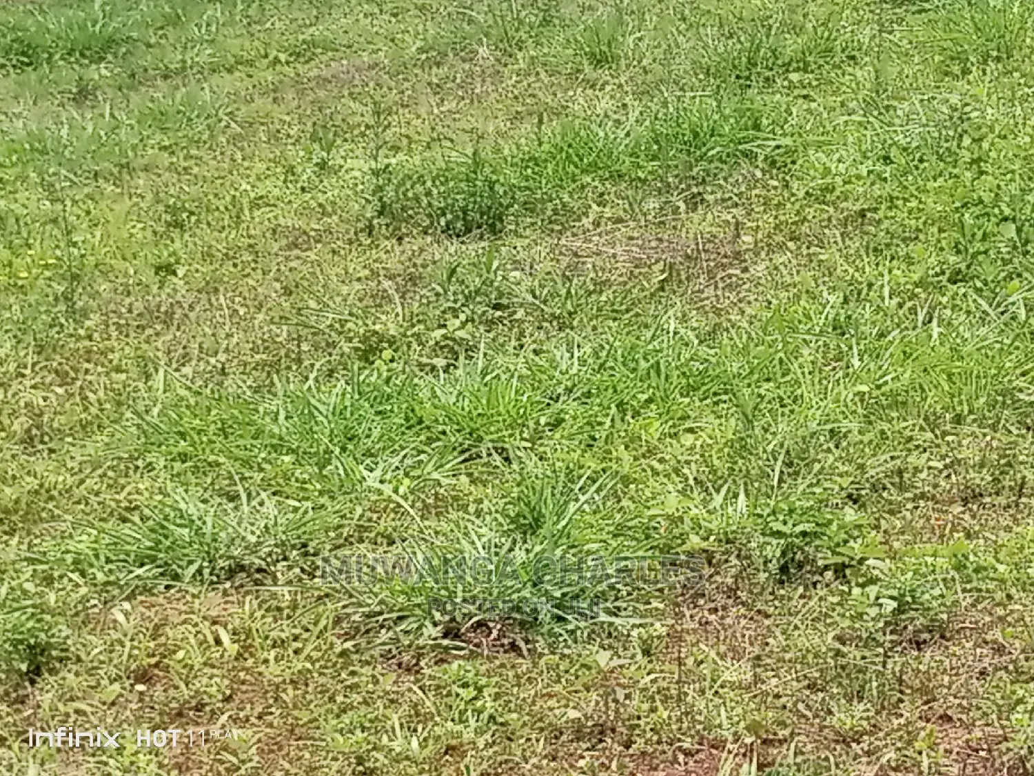 100by50ft Plot of Land for Sale at Gayaza Namaina
