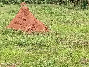 100by50ft Plot of Land for Sale at Gayaza Namaina