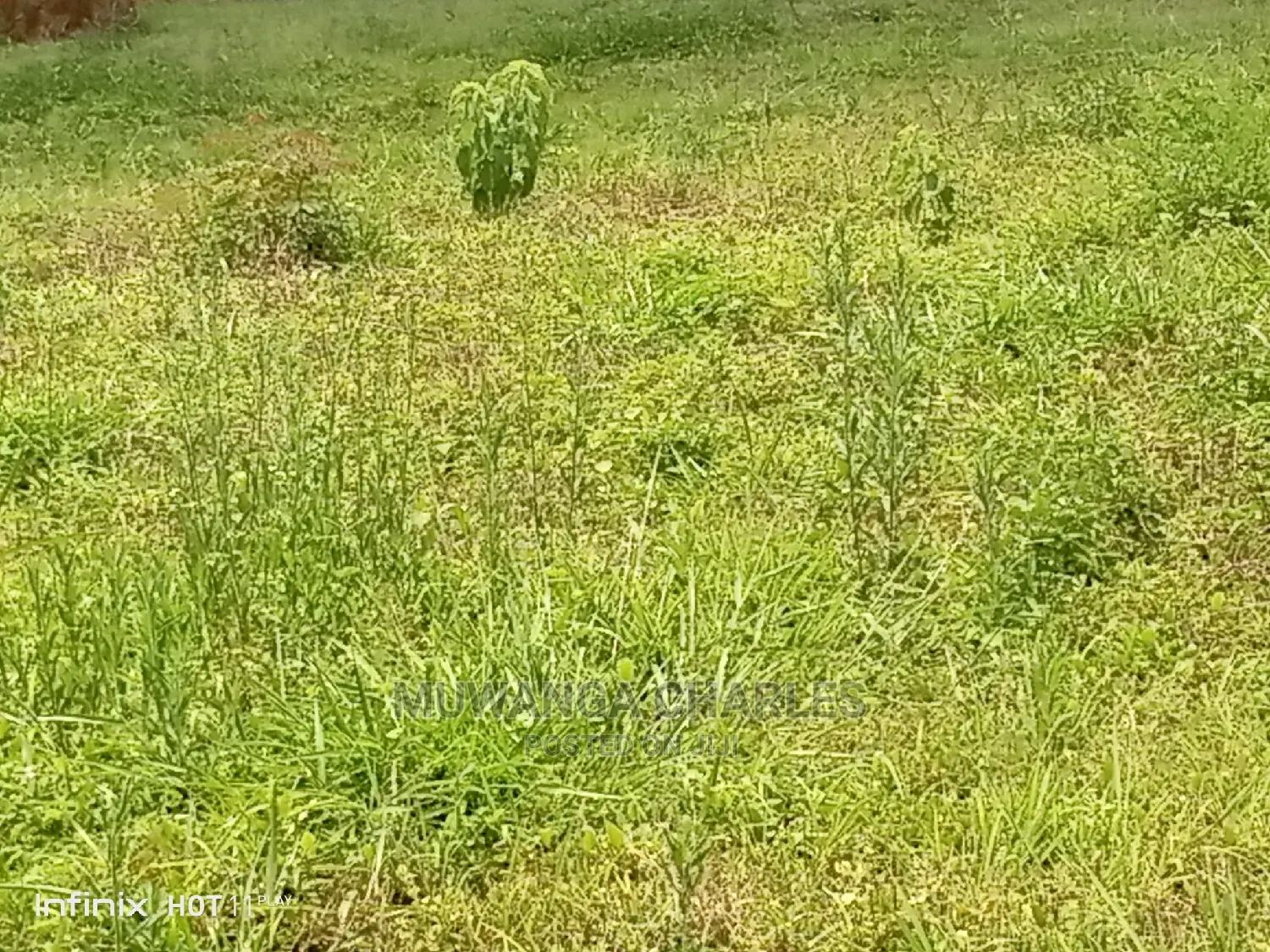 100by50ft Plot of Land for Sale at Gayaza Namaina