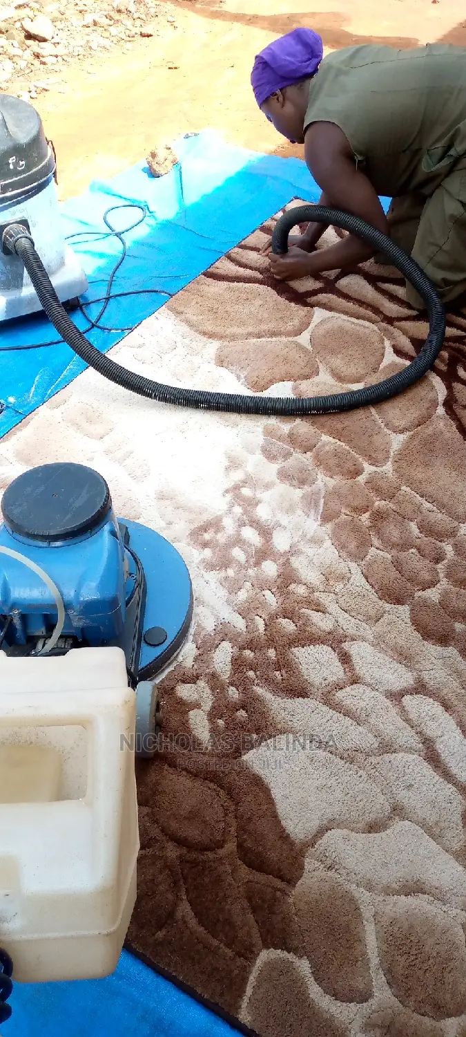 Cleaners for the Carpets