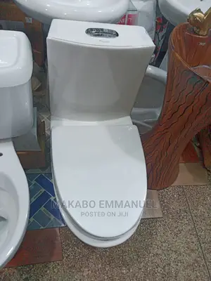 Big Toilet
