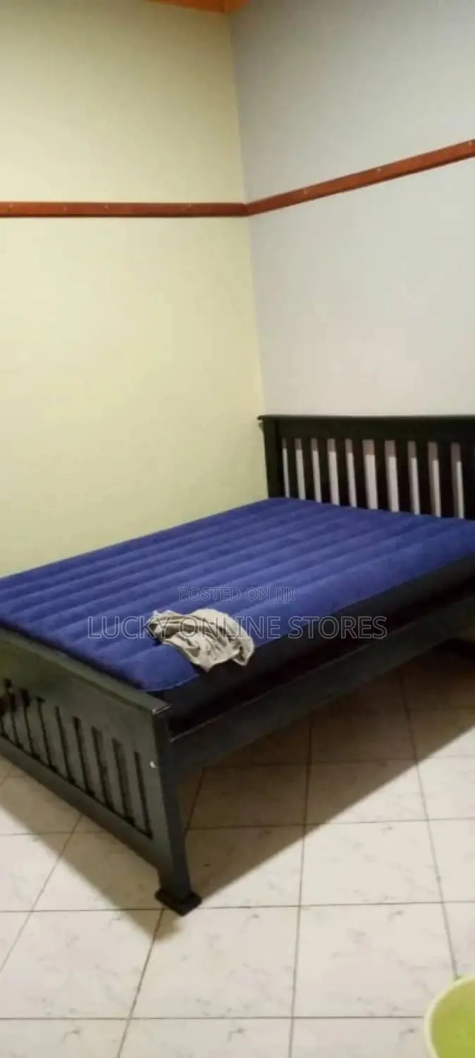 Intex Inflatable Mattress