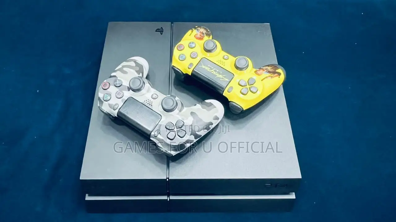 Ps4 Standard Two Pads