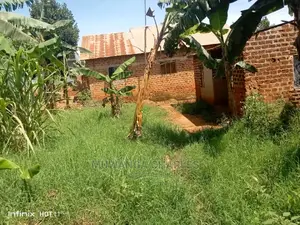 50ft50ft Plot for Sale at Manyangwa