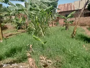 50ft50ft Plot for Sale at Manyangwa