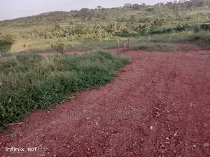 100by50ft Plot for Sale at Nakwero