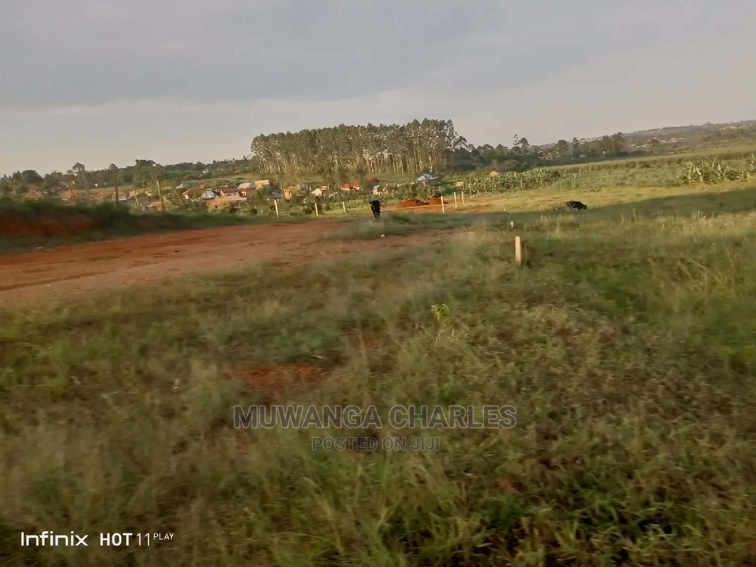 100by50ft Plot for Sale at Nakwero