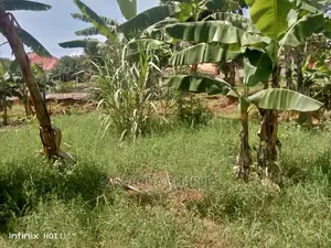 50by100ft Plot for Sale at Gayaza Nakweroo