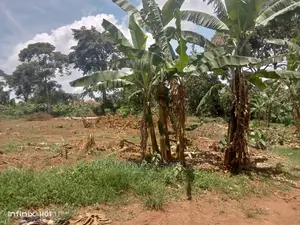 120by50ft Plot for Sale at Gayaza