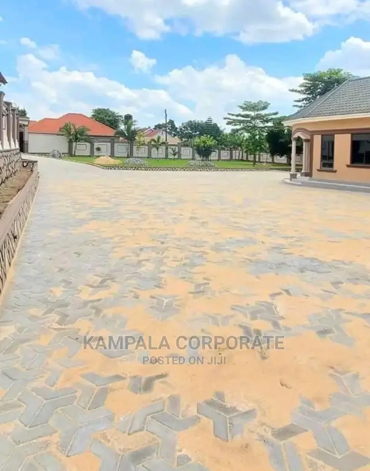 Types of Compound Grass for Sale