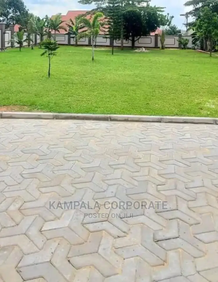 Types of Compound Grass for Sale