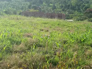 12decimals for Sale at Gayaza