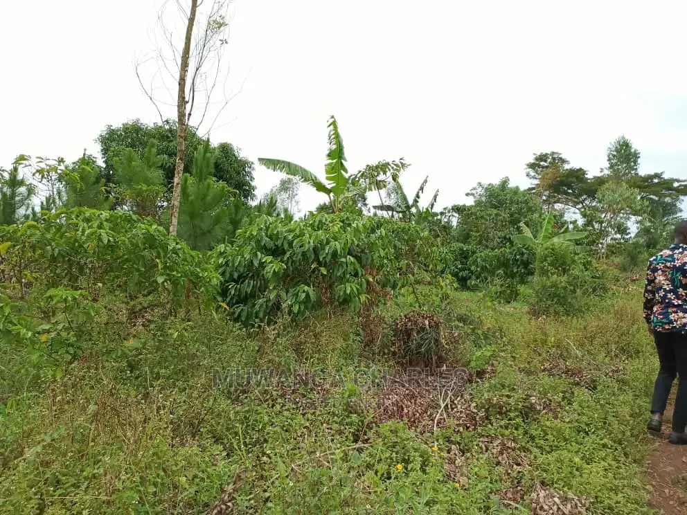 12decimals for Sale at Gayaza