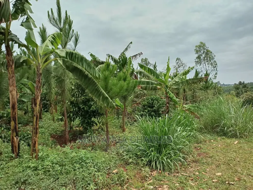 12decimals for Sale at Gayaza