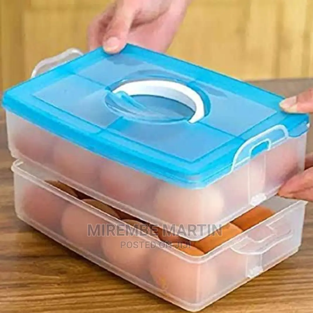 Egg Storage Box