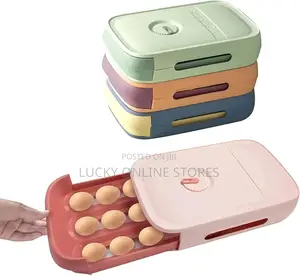 Egg Storage Box