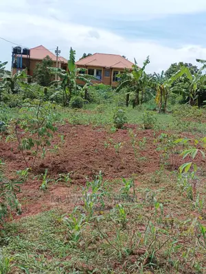 12decimals Plot for Sale at Kira Mulawa