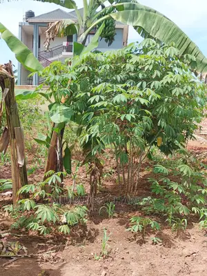 12decimals Plot for Sale at Kira Mulawa