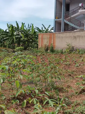 12decimals for Sale at Kira