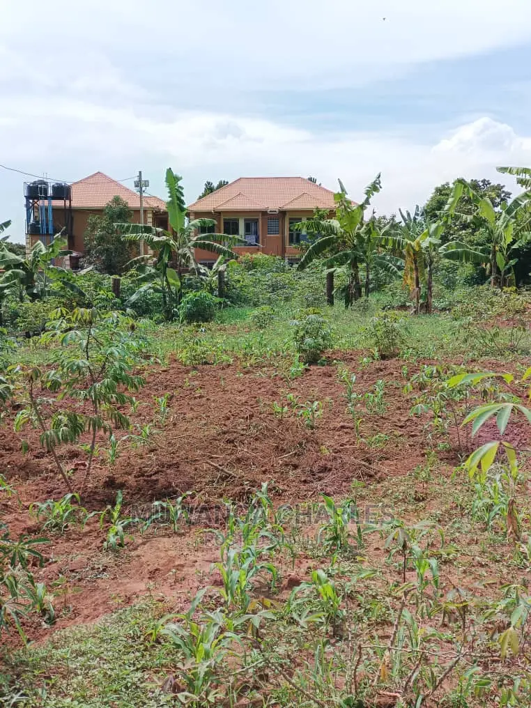 12decimals for Sale at Kira