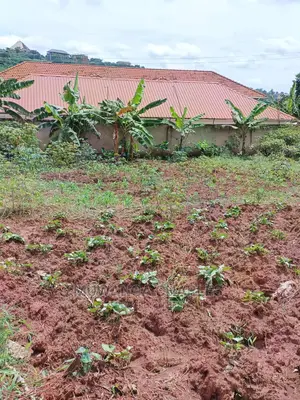 12decimals for Sale at Kira