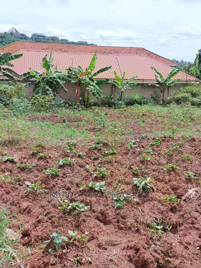 12decimals for Sale at Kira