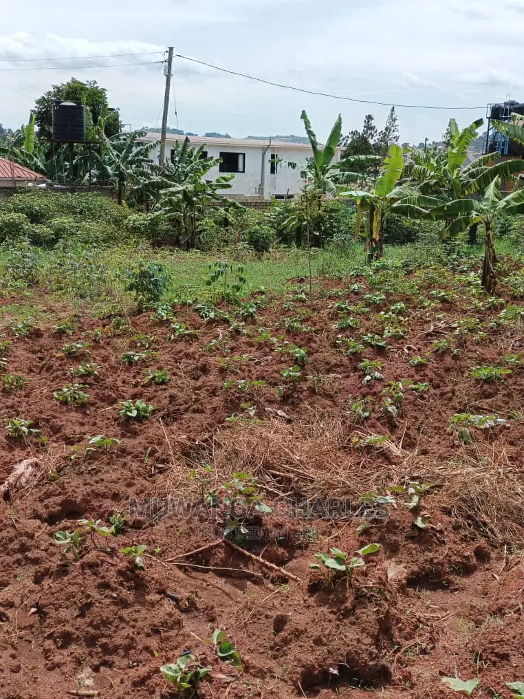 12decimals for Sale at Kira