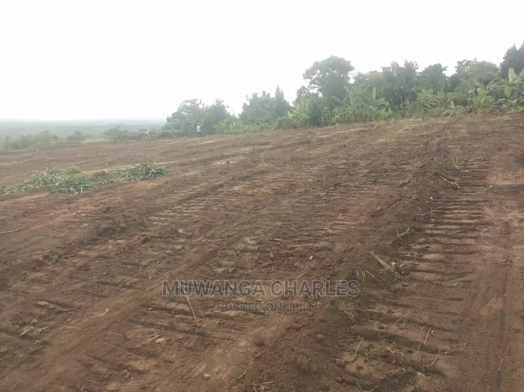 100by50ft Plot of Land for Sale at Kiwenda