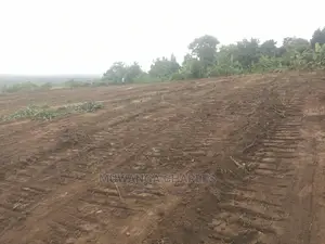 100by50ft Plot of Land for Sale at Kiwenda