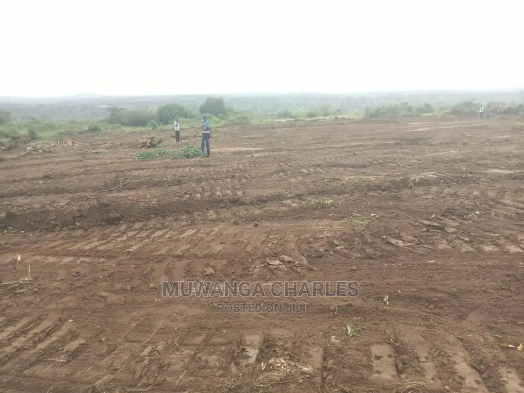 100by50ft Plot of Land for Sale at Kiwenda