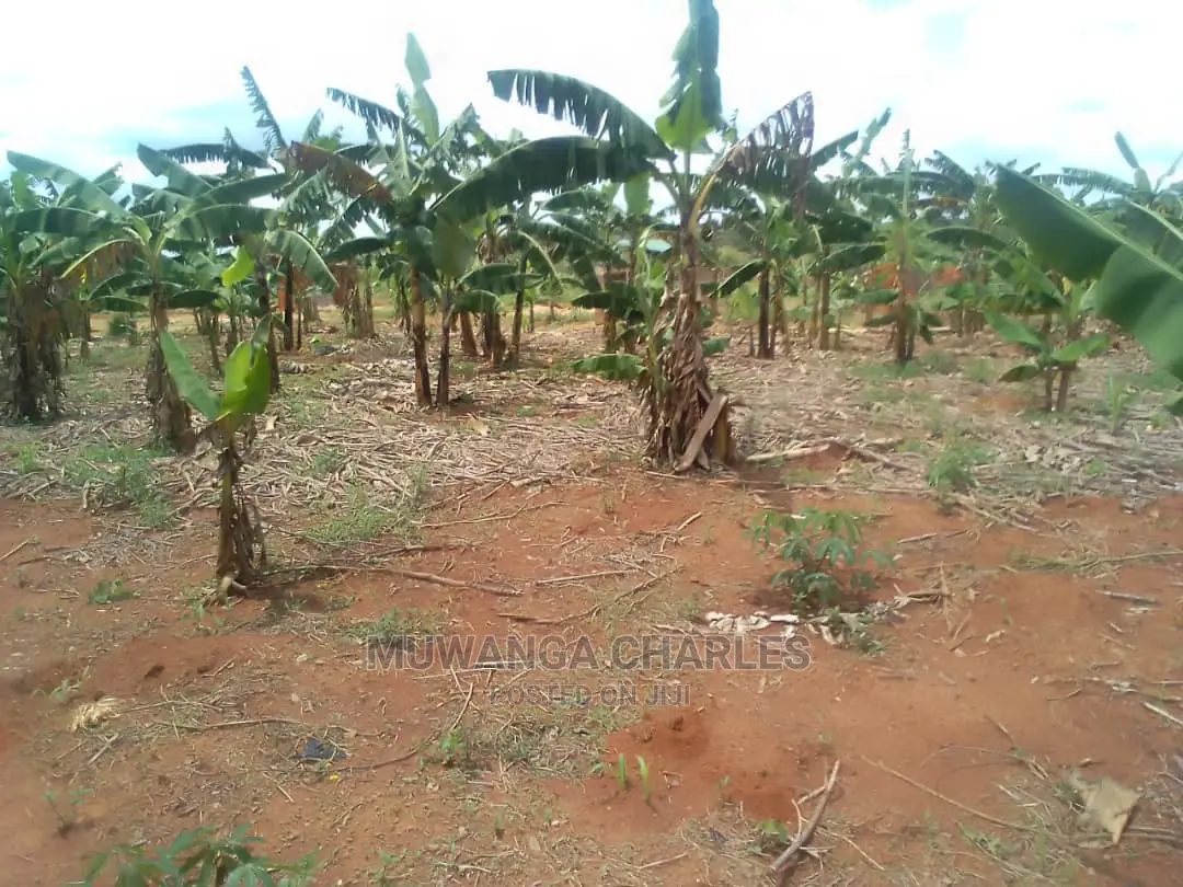 100by50ft Plot of Land for Sale at Kiwenda