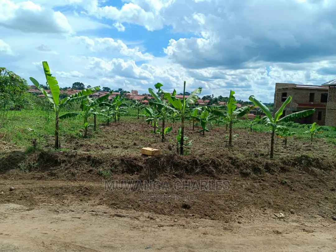 12decimals Plot for Sale at Kiwenda