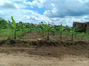 12decimals Plot for Sale at Kiwenda