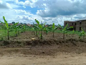 12decimals Plot for Sale at Kiwenda