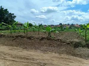 12decimals Plot for Sale at Kiwenda