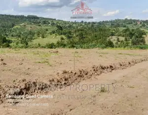 Prime Plots for Sale at Gobero~Sseganga Land Estate~Hoima Rd