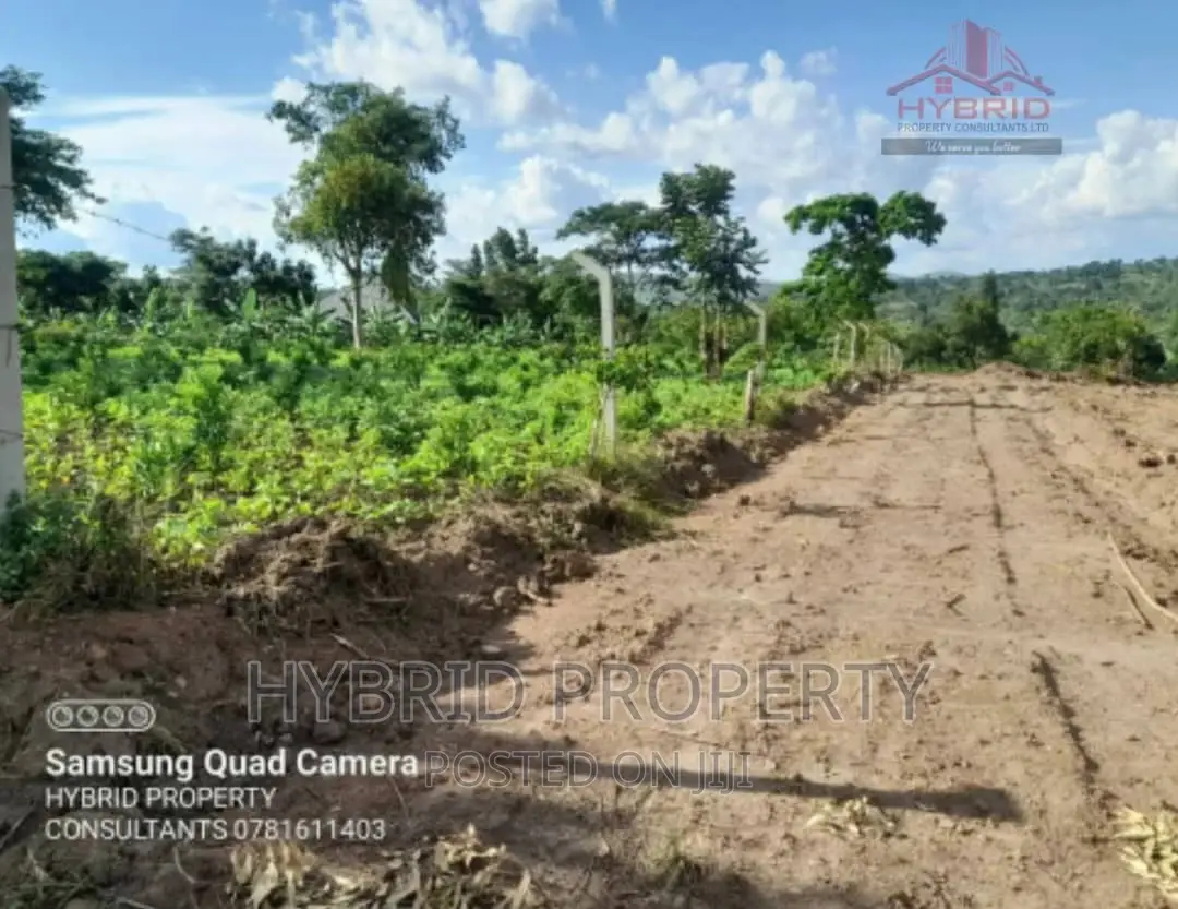 Prime Plots for Sale at Gobero~Sseganga Land Estate~Hoima Rd
