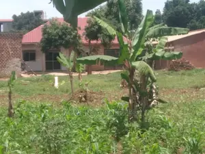 15decimals Plot for Sale at Kungu