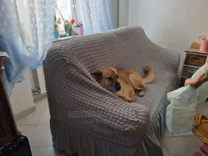 Sofa Cover