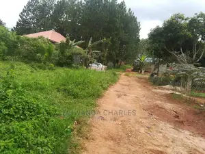 12decimals Plot for Sale at Nakwero