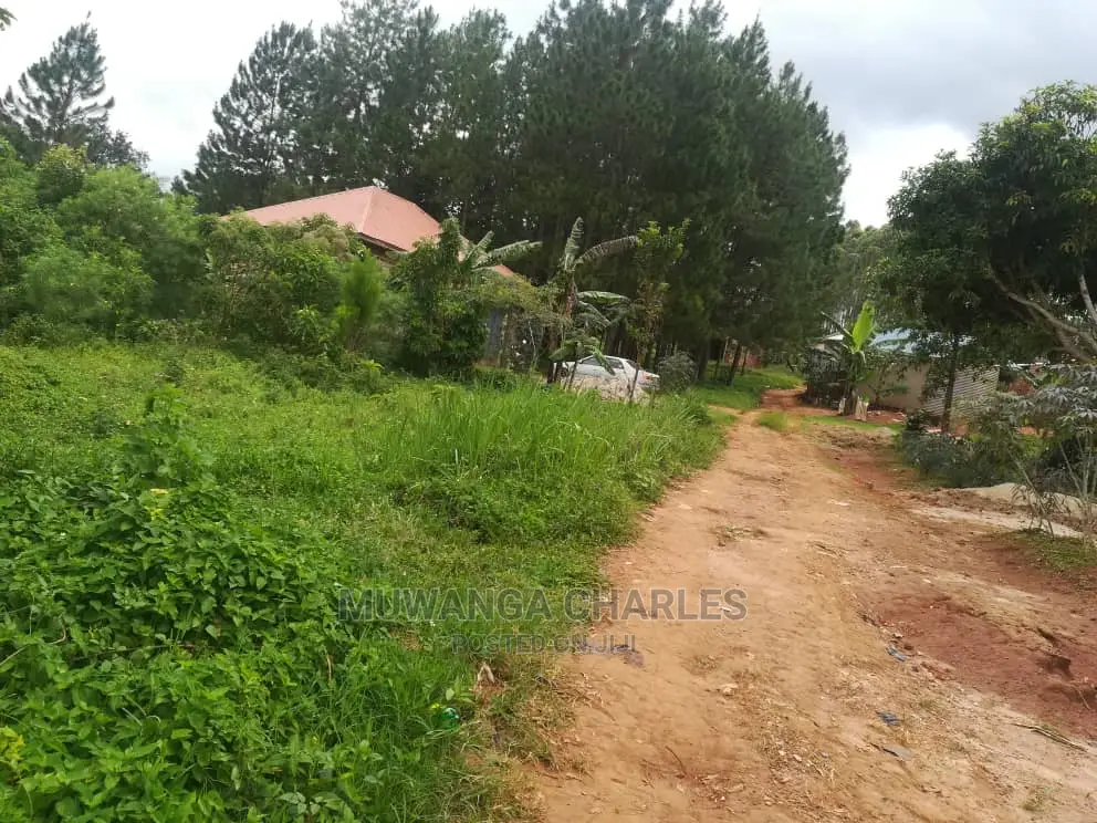 12decimals Plot for Sale at Nakwero