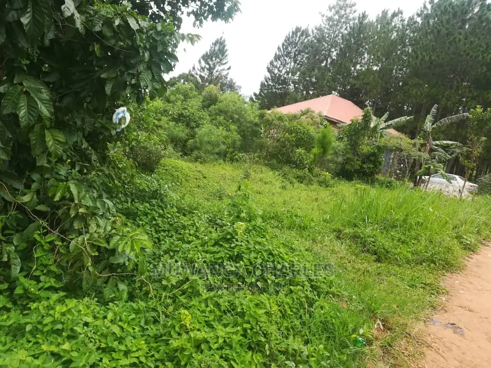 12decimals Plot for Sale at Nakwero