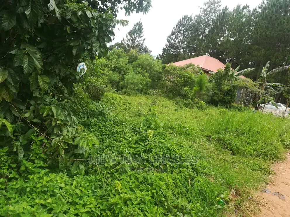 12decimals Plot for Sale at Nakwero