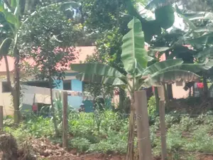 12decimals Plot for Sale at Kira