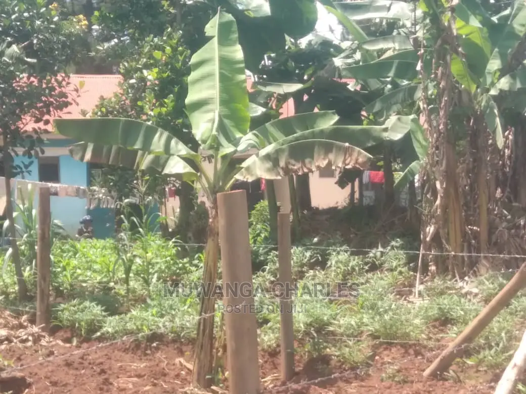 12decimals Plot for Sale at Kira