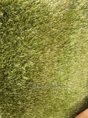 Plastic Grass Carpet - Half a Meter
