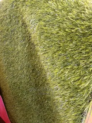Plastic Grass Carpet - Half a Meter
